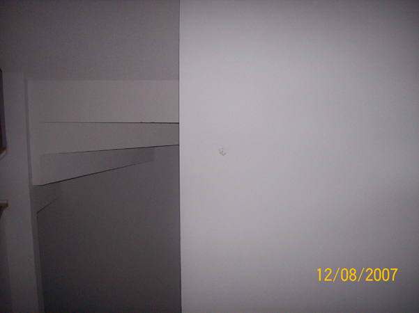 Picture 009