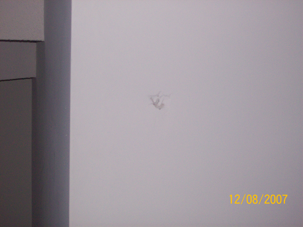 Picture 010